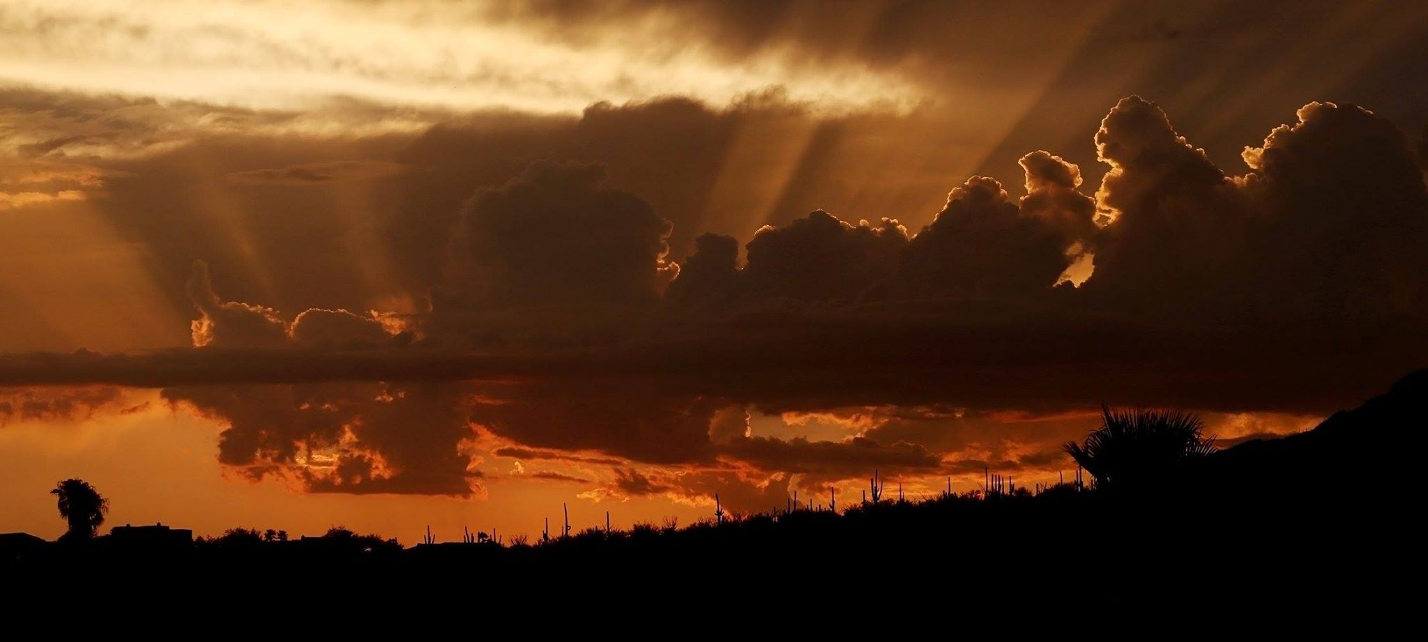 Beautiful Arizona sunsets